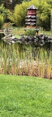 kleiner verwachsener Teich