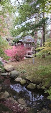 kleiner Wald mit filigranem Bäumchen und Gebäude