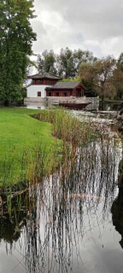 kleiner Bach mit verwachsenem Ufer und Rasenfläche