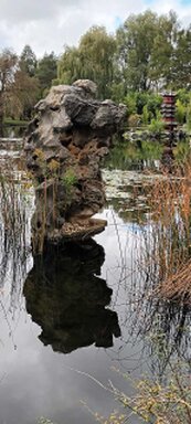 kleiner Teich mit Schlif am Ufer