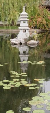 kleiner Teich mit Seerosen und Steinen